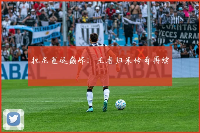 托尼重返巅峰：王者归来传奇再续