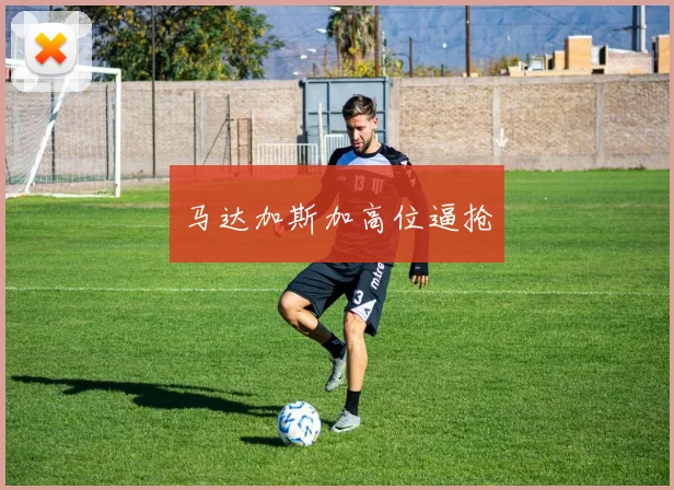 马达加斯加高位逼抢