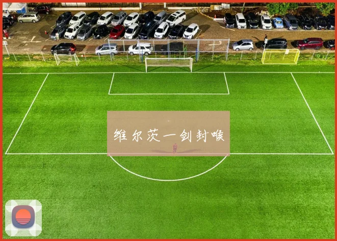 维尔茨一剑封喉