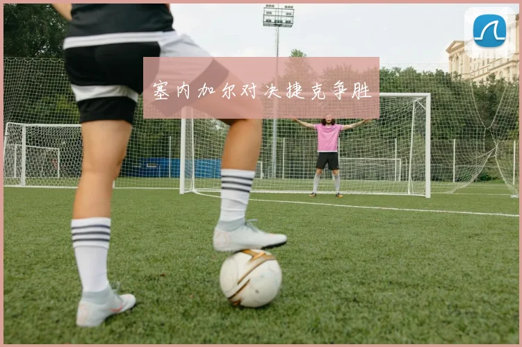 塞内加尔对决捷克争胜