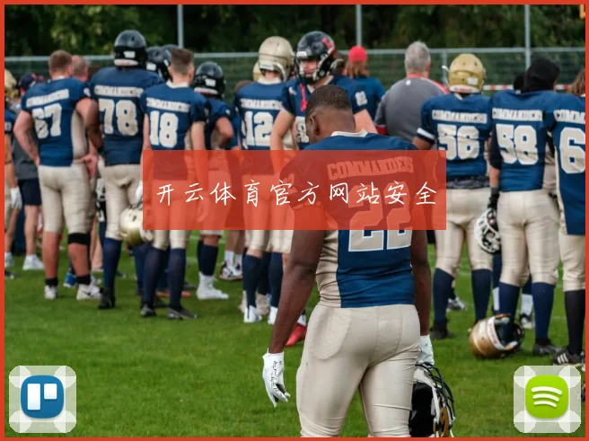 开云体育官方网站安全