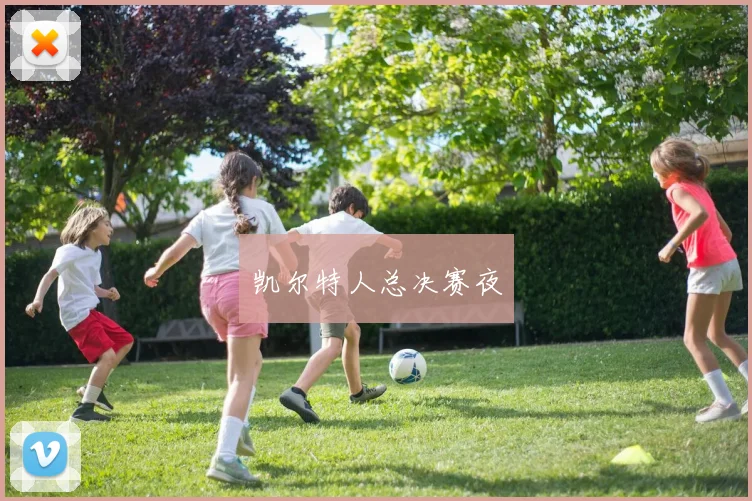 凯尔特人总决赛夜