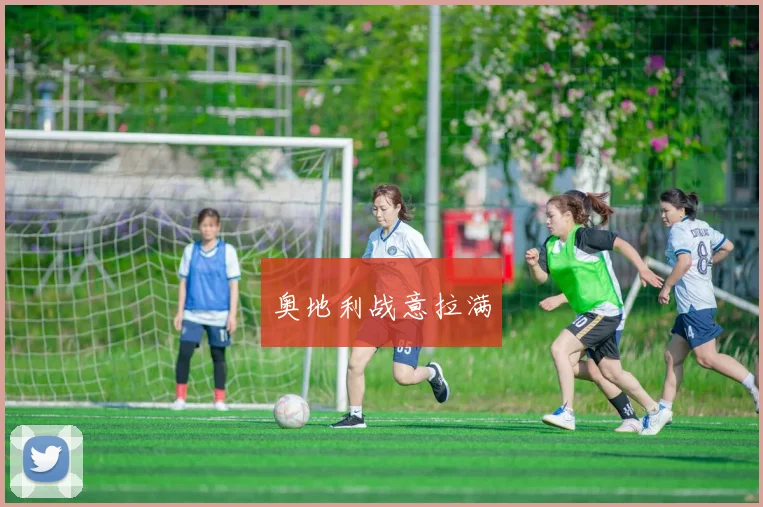奥地利战意拉满