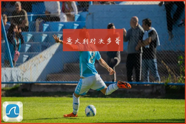 意大利对决多哥