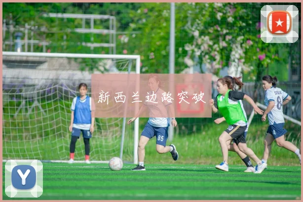 新西兰边路突破