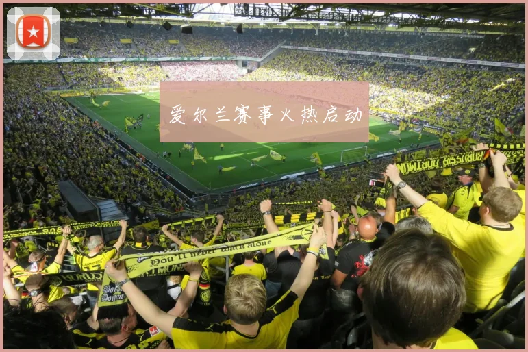 爱尔兰赛事火热启动