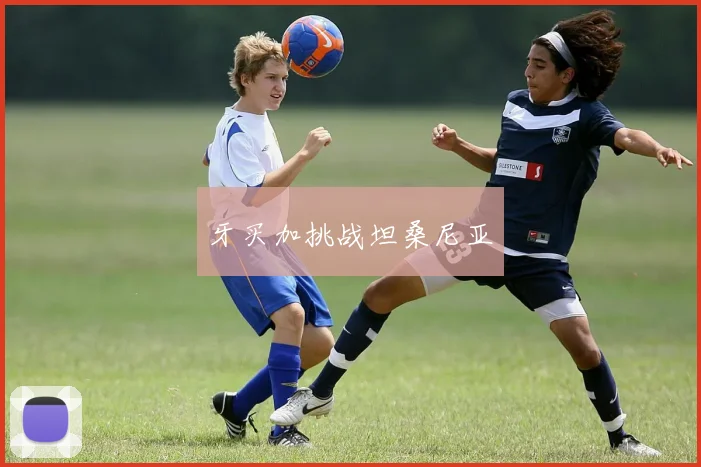牙买加挑战坦桑尼亚