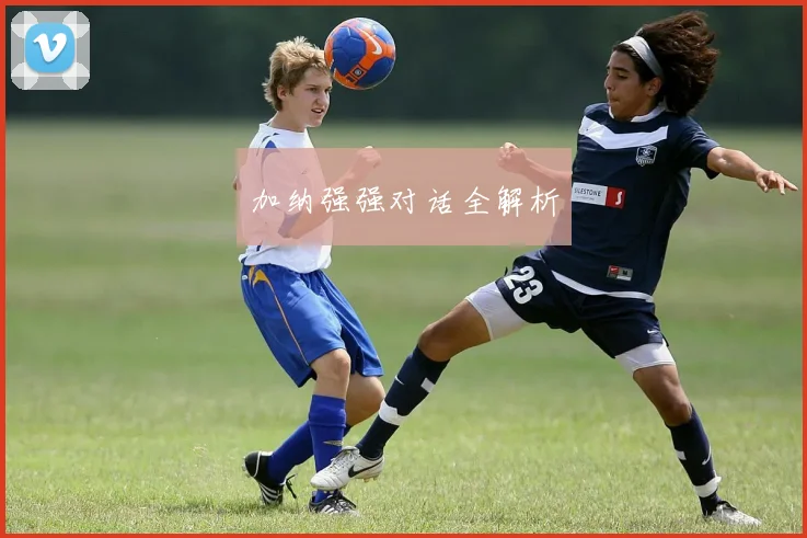 加纳强强对话全解析