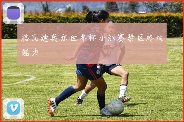 格瓦迪奥尔世界杯小组赛禁区终结能力