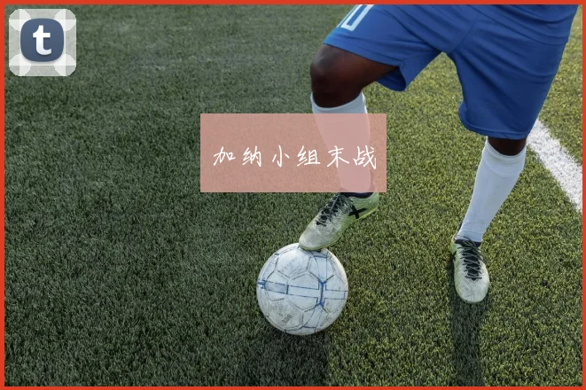 加纳小组末战