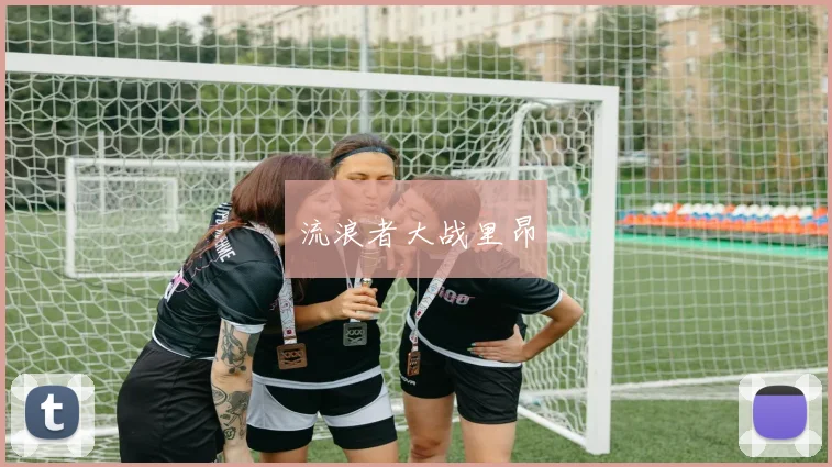 流浪者大战里昂
