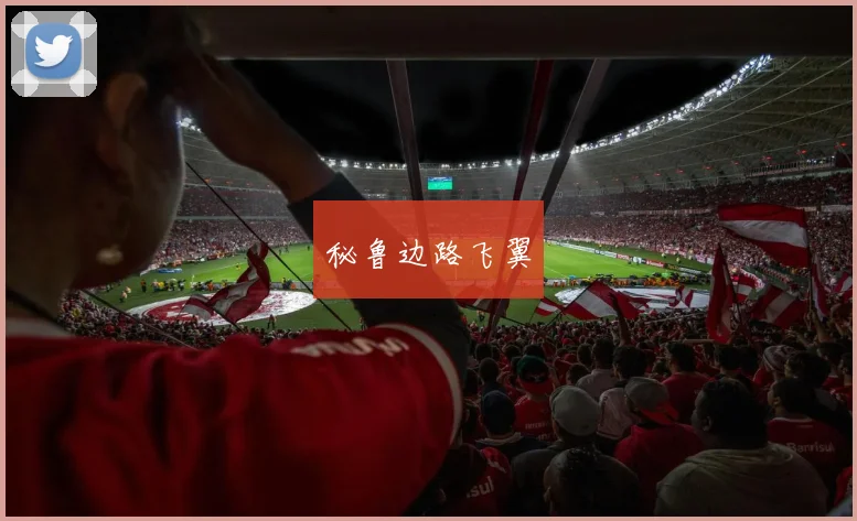 秘鲁边路飞翼