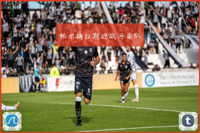 帕尔梅拉斯迎战河南队