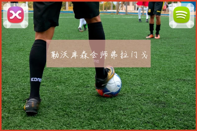 勒沃库森会师弗拉门戈