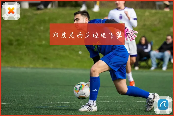 印度尼西亚边路飞翼