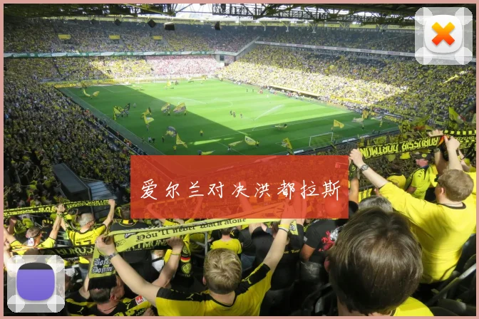 爱尔兰对决洪都拉斯