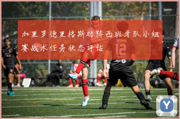 加里罗德里格斯对阵西班牙队小组赛战术任务状态评估