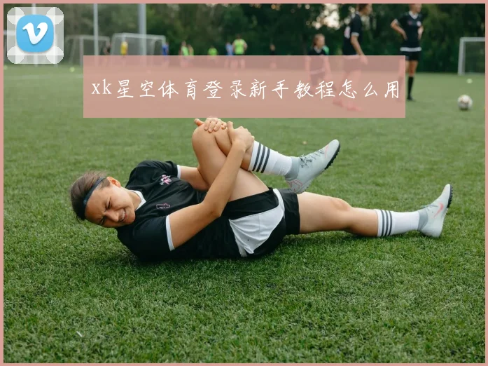 xk星空体育登录新手教程怎么用