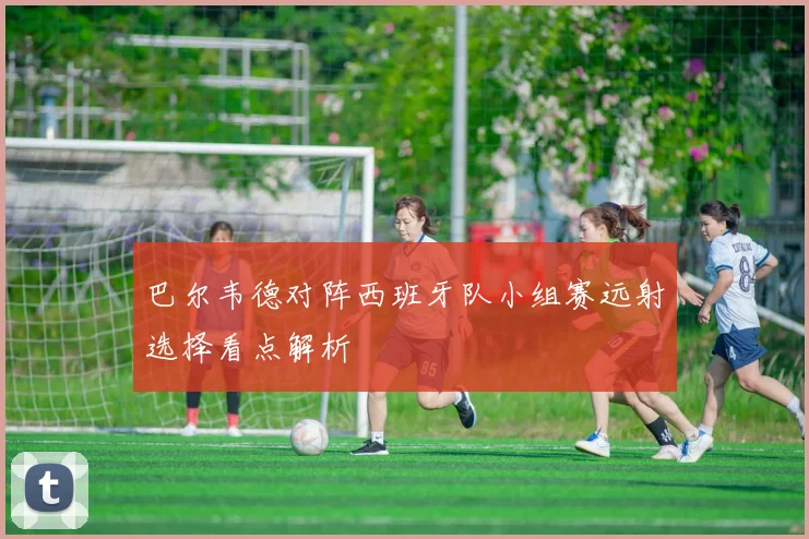 巴尔韦德对阵西班牙队小组赛远射选择看点解析